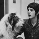 Paul McCartney and Martha, around 1968. (Photo: Getty Images)